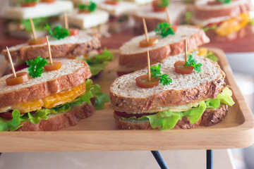 Canape  sandwiches with toothpicks and fresh vegetables on wooden board