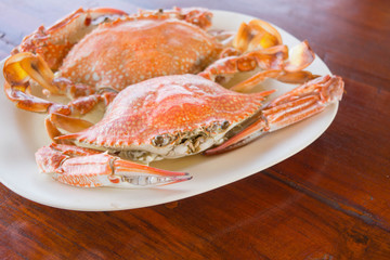 渡り蟹の蒸し焼き（カニ/crab）