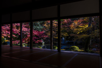 京都　蓮華寺　紅葉の庭