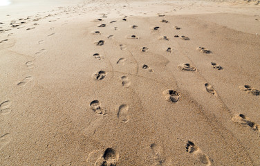 Hiker in sand desert