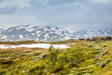Haukeli mountains in summer