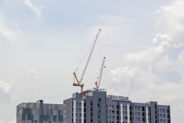Fototapeta na wymiar cranes working on under construction building