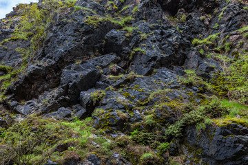Rocks structure. Valley Divoka Sarka in Prague, spring time.