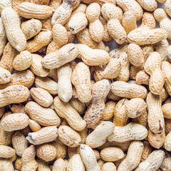 Background of the raw peanuts