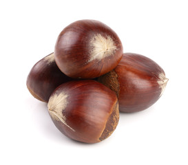 sweet chestnut isolated on white background