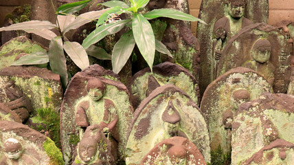 Jizo Statues with Green Moss, Tokyo, Japan