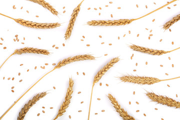 grain and ears of wheat isolated on white background. Top view. Flat lay pattern