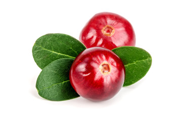 Cranberry with leaf isolated on white background closeup macro