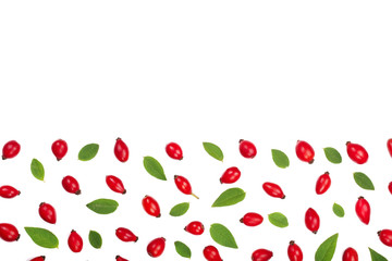 rosehip berries isolated on white background with copy space for your text. Flat lay pattern. Top view