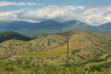 Fototapeta na wymiar Beautiful vineyards in mountains of Crimea