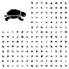 Turtle icon illustration. animals icon set for web and mobile.