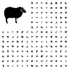 Sheep icon illustration. animals icon set for web and mobile.