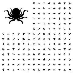 Octopus icon illustration. animals icon set for web and mobile.