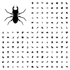 Beetle icon illustration. animals icon set for web and mobile.