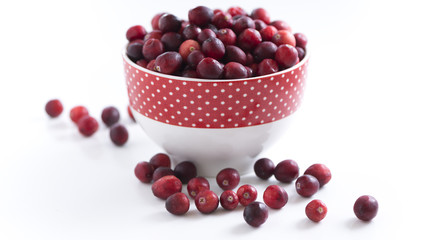 bowl of cranberries in a bowl on white background
