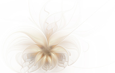 Abstract beautiful fractal flower in pale shades on a white background with copy space