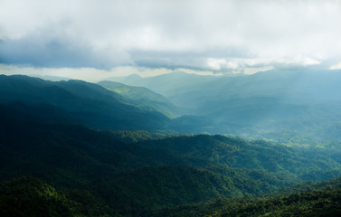 Fototapeta premium The green mountains.