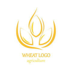 Agriculture Wheat Logo Icon Design Template Vector Illustration