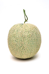 Melon on the isolated white background.