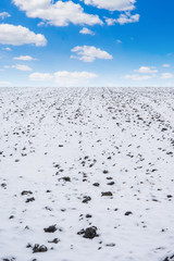 Photo of agricultural field covered with snow in winter