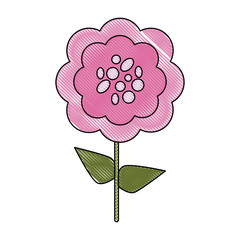 Beautiful flower bouquet