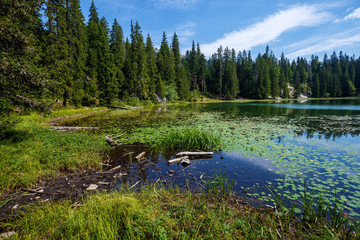 Serene view of Zminje Lake in Durmitor National Park, Montenegro