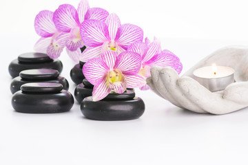 Fototapeta na wymiar Spa concept with basalt stones and flowers close up