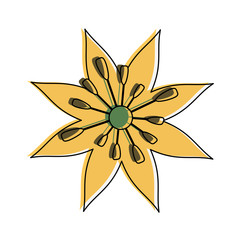 Beautiful flower symbol icon vector illustration graphic design