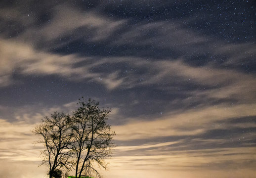 Tree silhouette under the starry night sky with clouds stretching along horizon