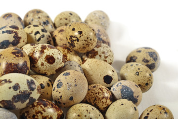 Obraz premium Quail eggs close up on a white