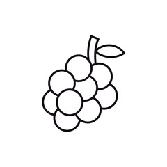 Wine icons fruit vector design logo illustration