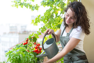 Young woman watering tomatoes on her city balcony garden - Nature and ecology theme - obrazy, fototapety, plakaty