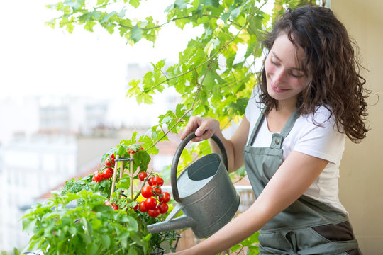 Young woman watering tomatoes on her city balcony garden - Nature and ecology theme