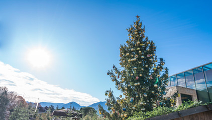 Geschmückter Weihnachtsbaum in Meran Südtirol