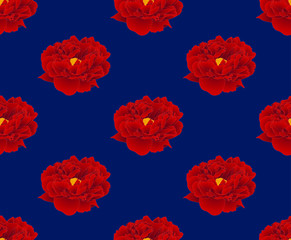 Red Peony on Navy Blue Background