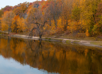 Autumn time lake