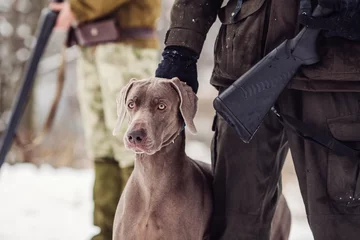 Papier Peint photo Lavable Chasser hunter and his weimaraner dog by a river in the winter hunting season.