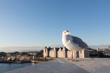 Skyline von Oslo, Norwegen