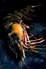 Garnele einzeln auf dunklem Grund als Stillife