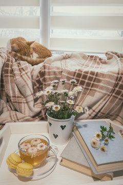 Sweet home with flowers, tea and a cat