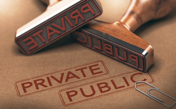 Private Versus Public Sectors
