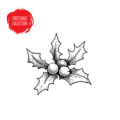 Hand drawn sketch holly berry. Christmas seasonal plant. Winter holiday symbol. Vector illustration isolated on white background.