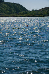 Loch Hyne nature reserve, Wild Atlantic Way, Ireland