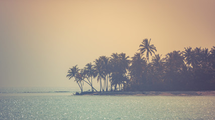 Palm trees in sunset, tropical island background