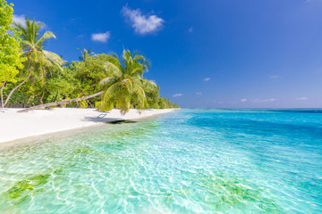 Maldives beach scene. Blue sea and palm trees for tranquil vacation concept