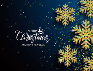 Fototapeta na wymiar Elegant Christmas Background with Shining Snowflakes. Vector illustration.