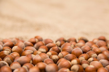 Several hazelnut on a jute fiber fabric with blurred background.