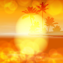 Sea sunset with palm tree and light on lens