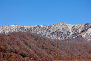 奥大山スキー場より望む大山