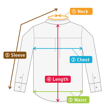 business shirt illustration for size chart (english) / color version
